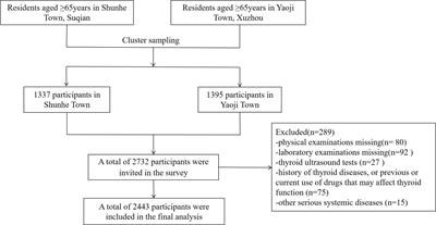 Age-specific association between thyroid autoimmunity and hypothyroidism in Chinese adults aged over 65 years: a cross-sectional study